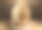 3D逼真的米色讲台基座与几何背景和树叶阴影最小的墙壁场景在棕色背景图片下载