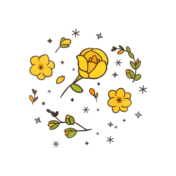 小苍兰图片下载