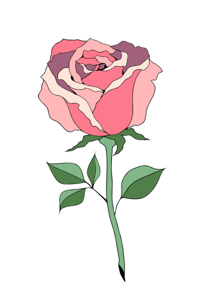 矢量插图的一个粉红色的玫瑰图片下载