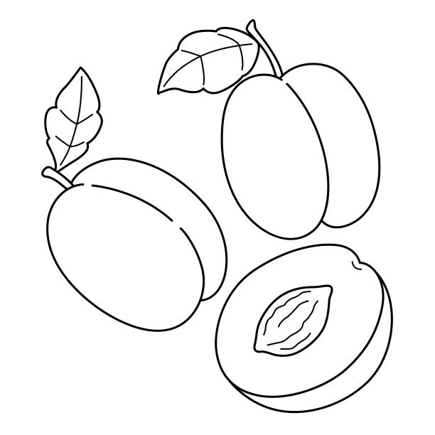 李子水果蔬菜分离着色页图片下载