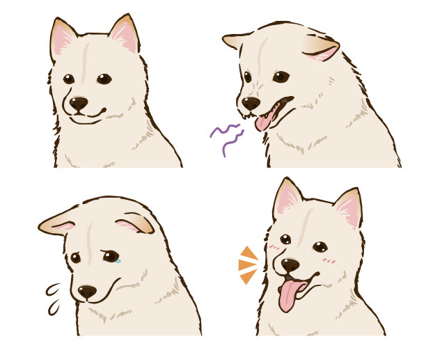 柴犬面部表情套装(白发)图片下载