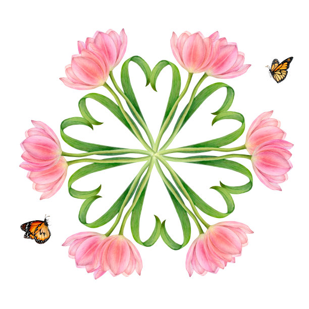 水彩画方形关系与美丽的圆形粉红色郁金香茎，花和叶心和两个飞行的蝴蝶图片下载