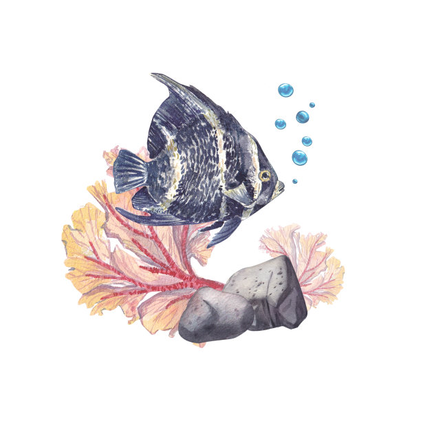 可爱的热带鱼在粉红色珊瑚的背景与泡沫在白色的背景。异国水下动物的水彩画插图。适合明信片，邀请函，壁纸，水族馆。图片下载