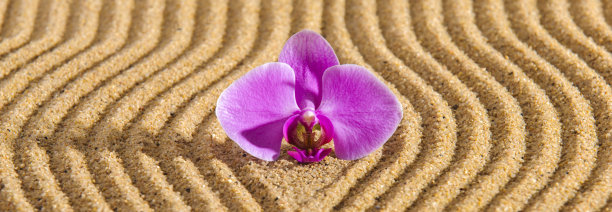 日本禅宗花园与石头纹理的沙子图片下载