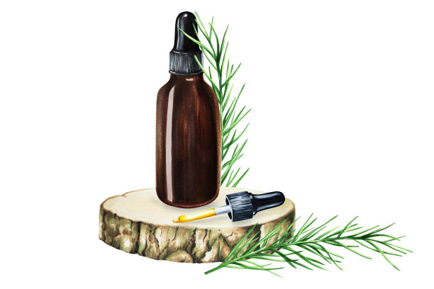 水彩瓶的血清，奶油与移液管上的木锯切割孤立的白色背景。美容产品及植物元素、美容及医药。对于设计师来说，水疗中心装饰，明信片，包装纸，剪贴簿，封面，请柬，p图片下载