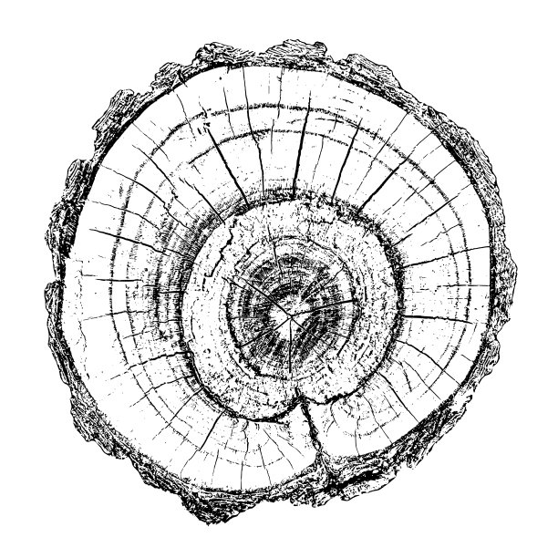木材纹理图片下载