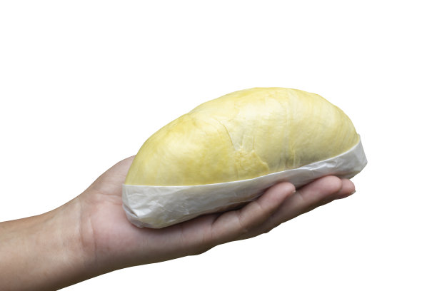 手捧成熟的榴莲，用白纸包裹着就可以吃了，是泰国最受欢迎的水果之王，孤立在白底包括夹道。图片下载