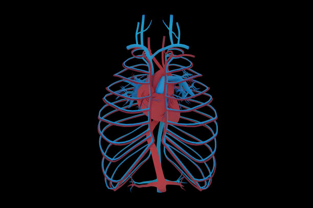 3D医学概念图片下载
