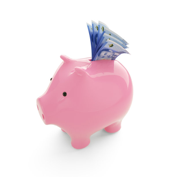 摩洛哥迪拉姆内粉红色的存钱罐，钱在存钱罐，储蓄概念，3d渲染图片下载