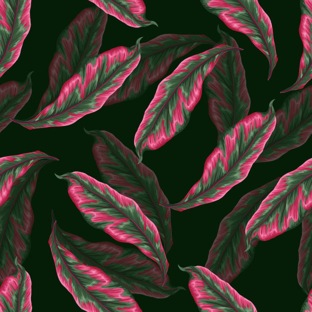 热带树叶的无缝图案。向量。图片下载