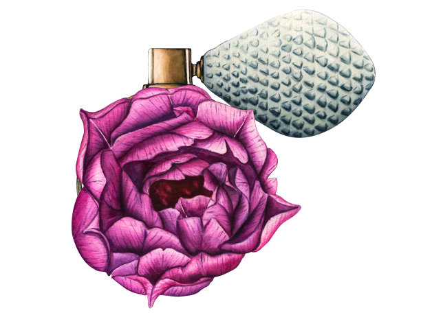 水彩花香水瓶与紫罗兰郁金香。手绘插图花芳香喷雾隔离在白色背景的贺卡，婚礼邀请和生日图片下载