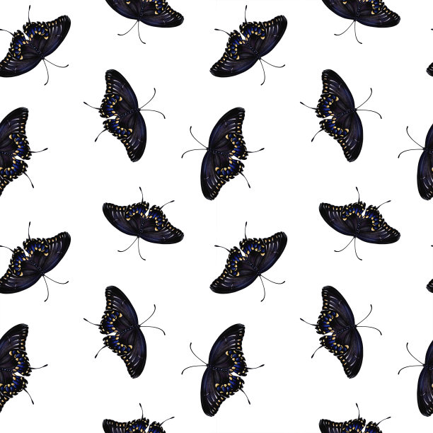 黑蝴蝶的无缝图案。图片下载