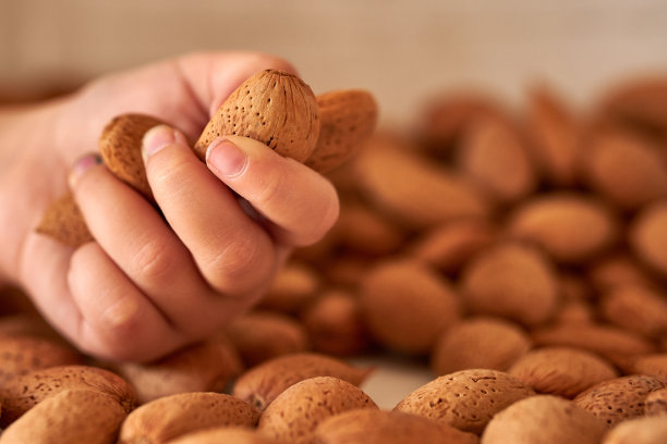 手掌上的杏仁特写镜头。图片下载