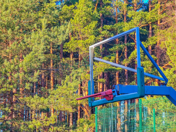 在森林环绕的大自然中，有篮筐和网的公共户外篮球板图片下载