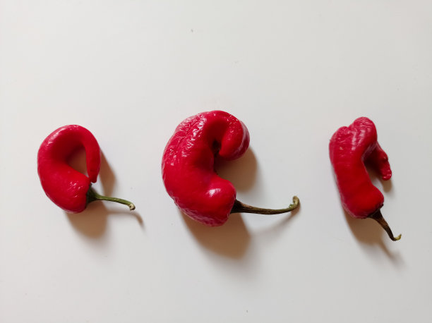 红辣椒图片下载