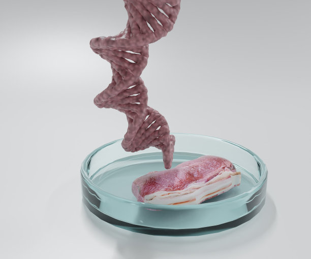 玻璃培养皿里的新鲜红肉。图片下载