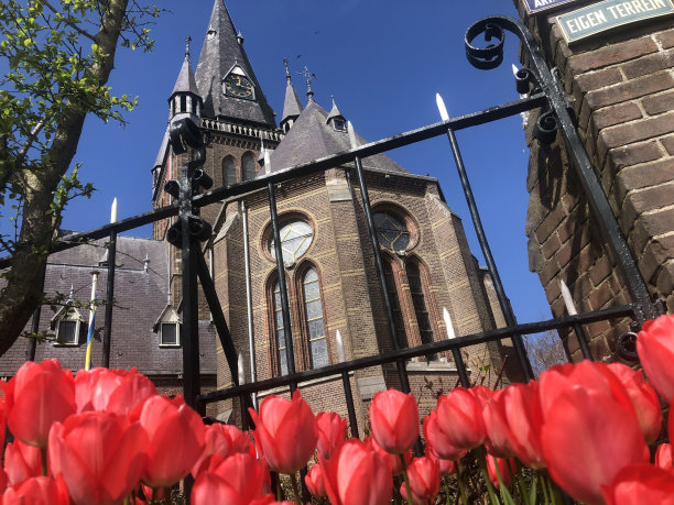 红色郁金香和教堂图片下载