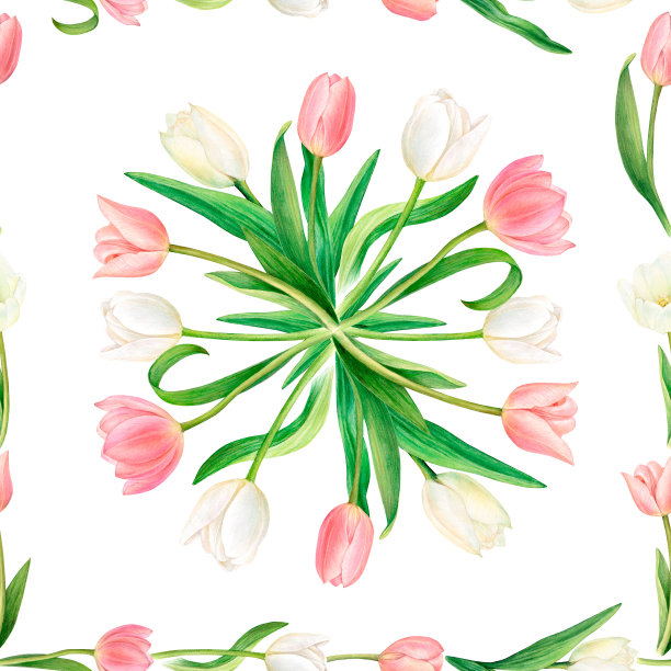 水彩方形和谐与美丽的粉红色和白色郁金香框架的花茎。图片下载