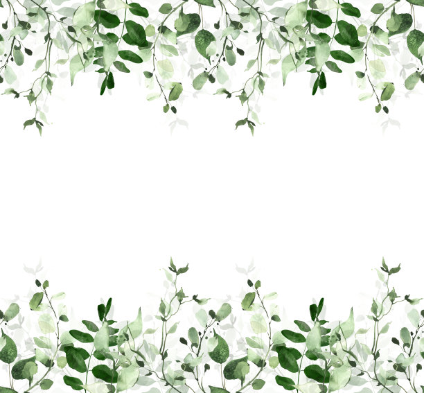水彩画绿色无缝框架上的白色背景。绿色的野生植物，树枝，树叶和细枝。图片下载