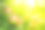 果园里挂在苹果树上的苹果图片下载