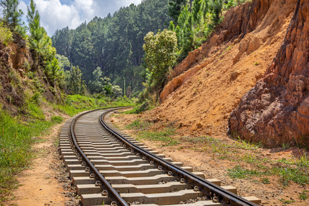 森林中新建的现代化单轨铁路图片下载