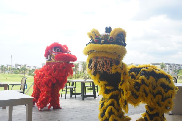 舞狮(Barongsai)图片下载