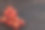 木地板上放着新鲜的红苹果图片下载