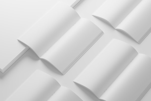 DL鞍针双折小册子空白3D渲染模型图片下载