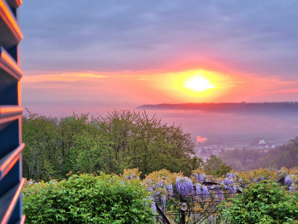 意大利皮埃蒙特(Piemonte)的葡萄园，春天的日出，前景是木质百叶窗图片下载