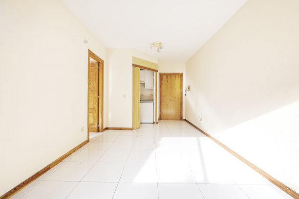 住在一个有小厨房和松木木工的空公寓里图片下载