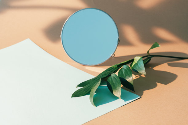 美容展柜产品展示镜绿叶图片下载