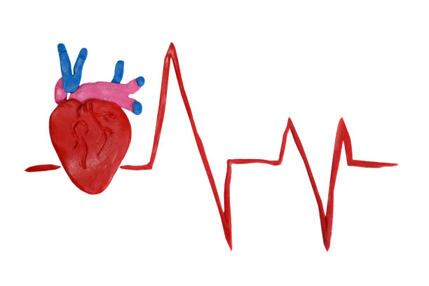 心电图和心脏，白色上分离出橡皮泥模型图片下载