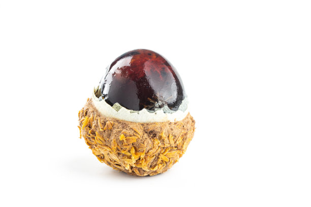 白底皮蛋图片下载