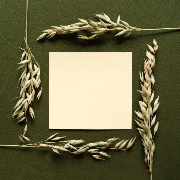 空白贺卡，邀请和信封模型。由干花和树枝制成的最小花框。平躺，俯视图。母亲节快乐，妇女节快乐，生日快乐，结婚快乐。图片下载