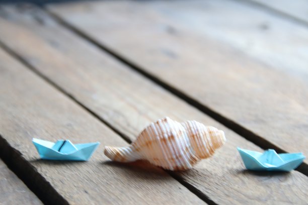 夏天的背景。木制背景上的贝壳。图片下载