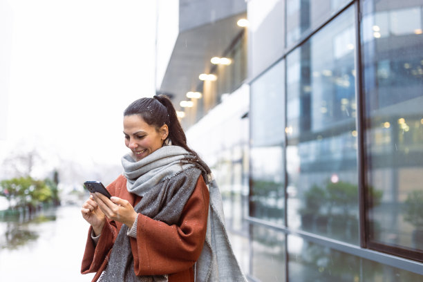 在手机应用上查看财务状况图片下载