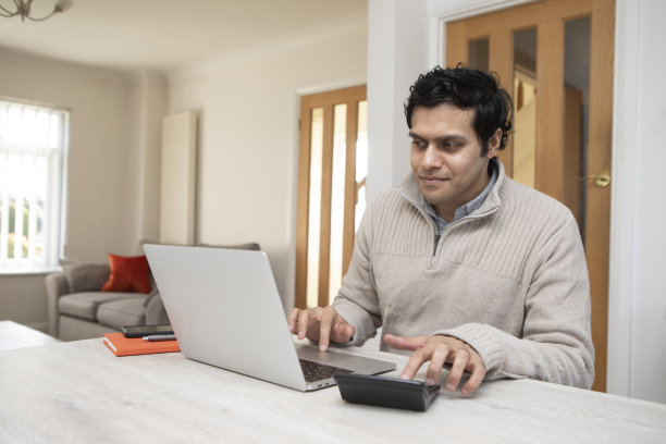 商务人士在家里用笔记本电脑查看财务状况图片下载