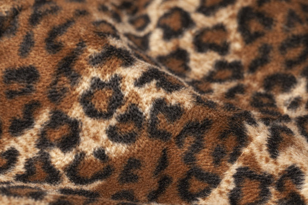 豹皮纹理作为背景图片下载