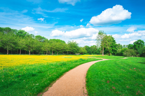 沿着公园的步道图片下载