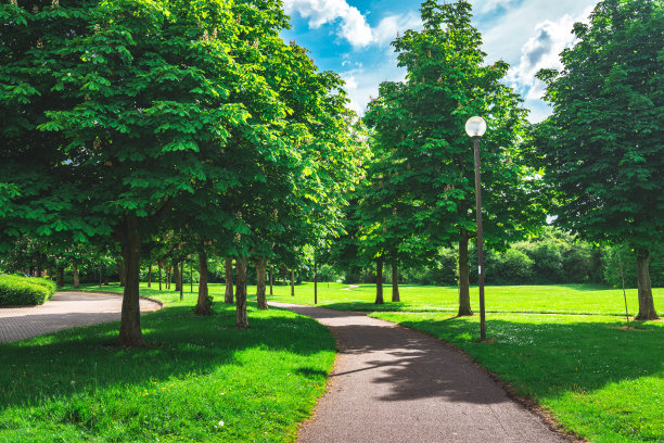 沿着公园的步道图片下载