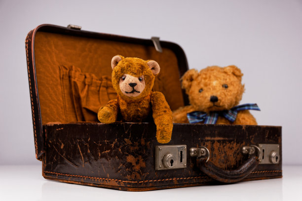 两只泰迪熊坐在一个老式的小箱子里图片下载