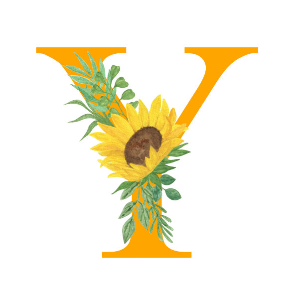 ABC，字母Y拉丁字母装饰向日葵和树叶，花卉字母组合水彩插图在简单的手绘风格，夏季花卉装饰字母图片下载