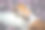棕色和白色的杰克罗素和斗牛梗小狗玩耍，开普敦，南非图片下载