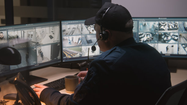 保安用监控录像回放软件图片下载