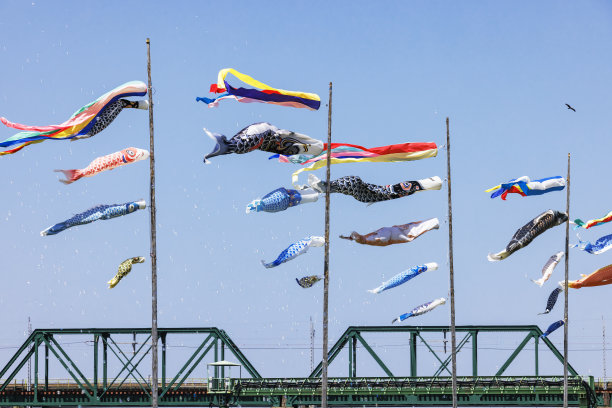 翁加河河床上随风飘扬的鲤鱼彩带图片下载