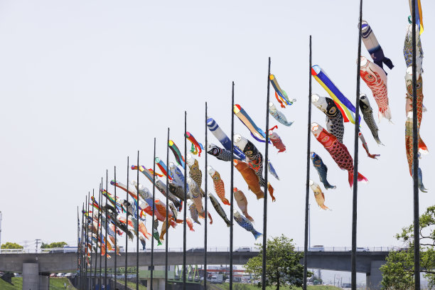 翁加河河床上随风飘扬的鲤鱼彩带图片下载