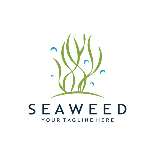 海藻标志设计与矢量插图模板图片下载