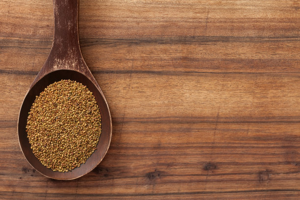 苜蓿种子图片下载