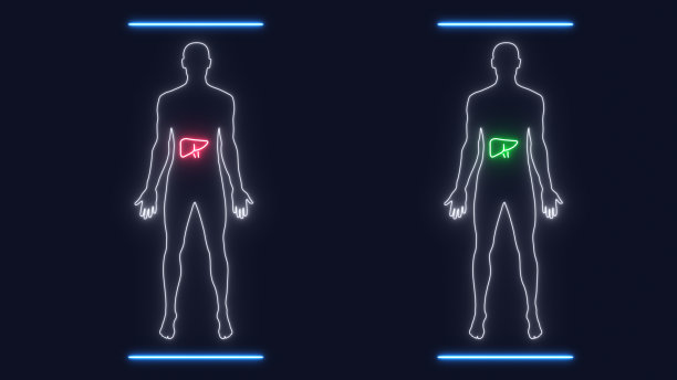 未来触摸屏界面上显示骨骼、器官和神经网络活动的人体男性解剖扫描分析。概念:在不久的将来，医学和医疗保健。图片下载