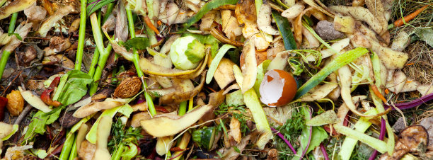 堆肥一堆腐烂的厨房水果和蔬菜废料。图片下载